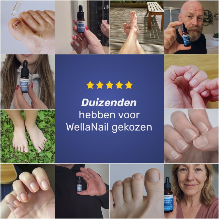WellaNail image